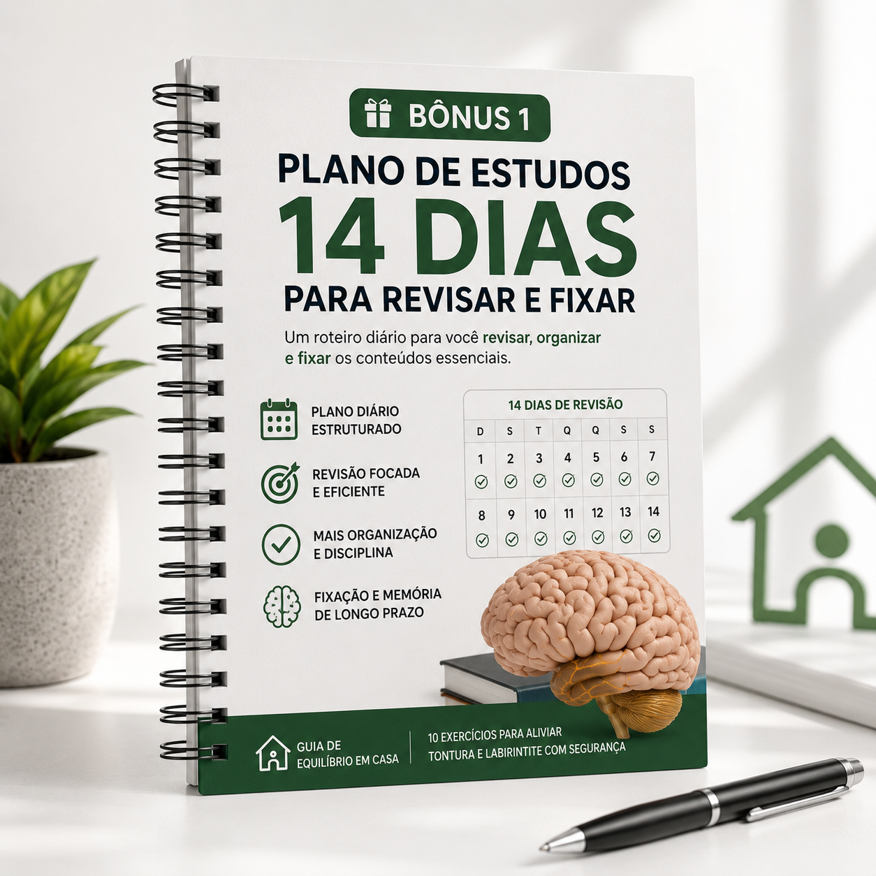 Bônus 01 — Plano de Estudos 14 Dias